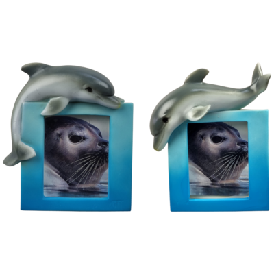 Memo fotolijst met dolfijn