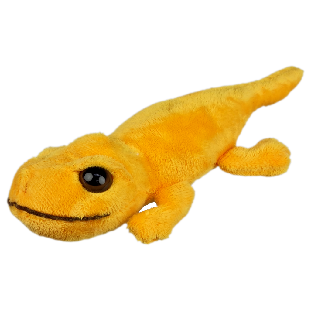 Lizzard Big Eye Yellow