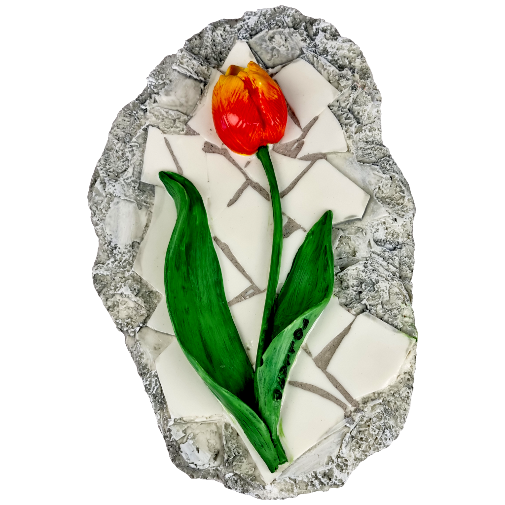 Rots gele tulp