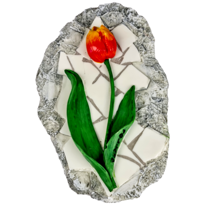 Rots gele tulp