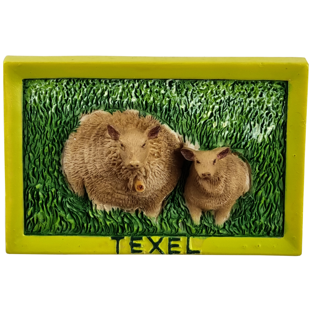 Memo schaap+lam weiland Texel