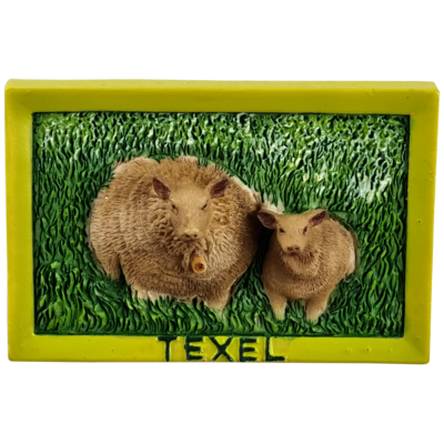 Memo schaap+lam weiland Texel