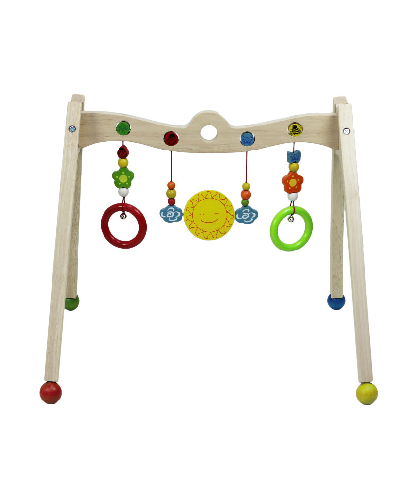 Babygym Activity