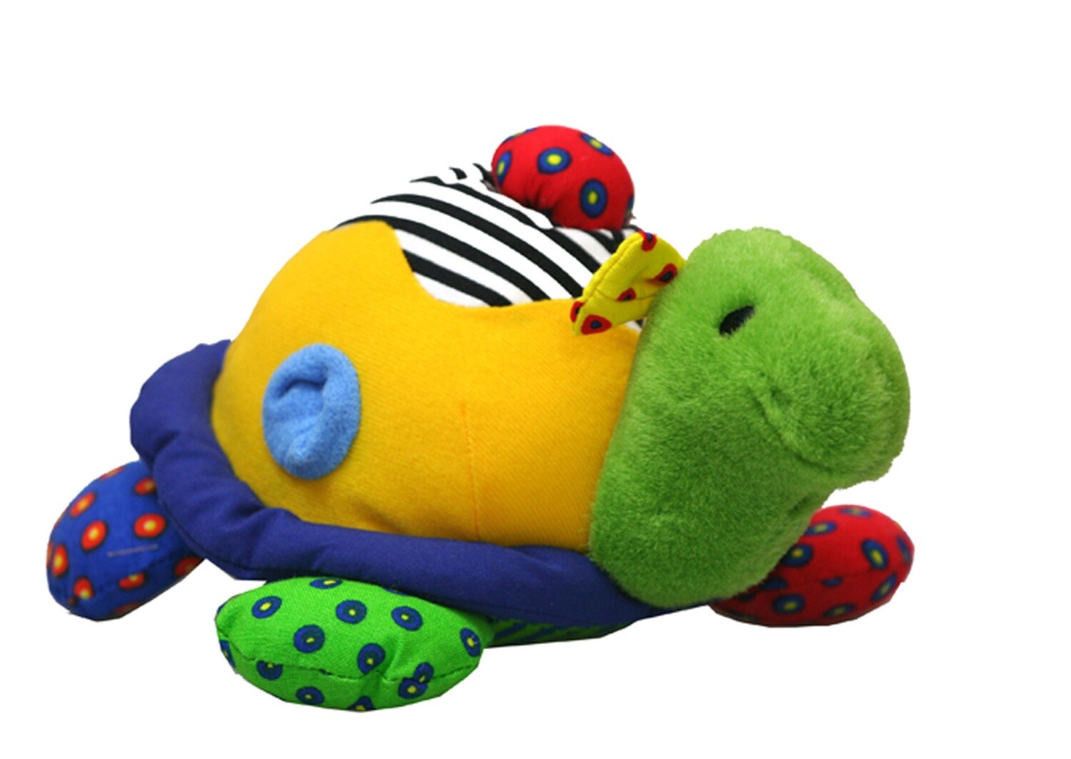 Dancing Turtle