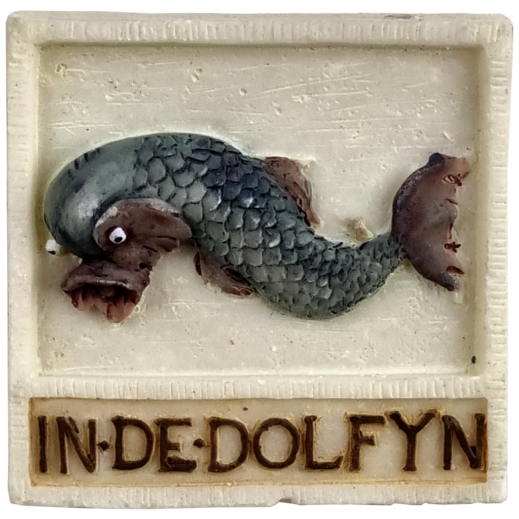 Memo Dolfyn