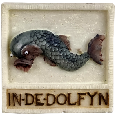 Memo Dolfyn
