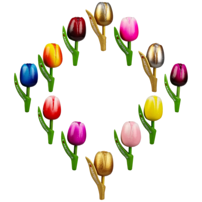 Fleurige Tulpen magneet I ♥ Amsterdam