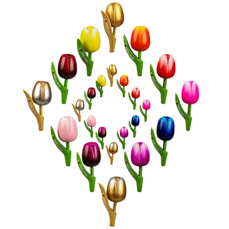 Tulpen I ♥ Holland - magneet