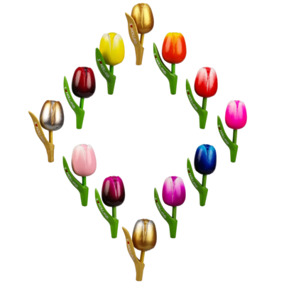 Fleurige Tulpen magneet I ♥ Holland