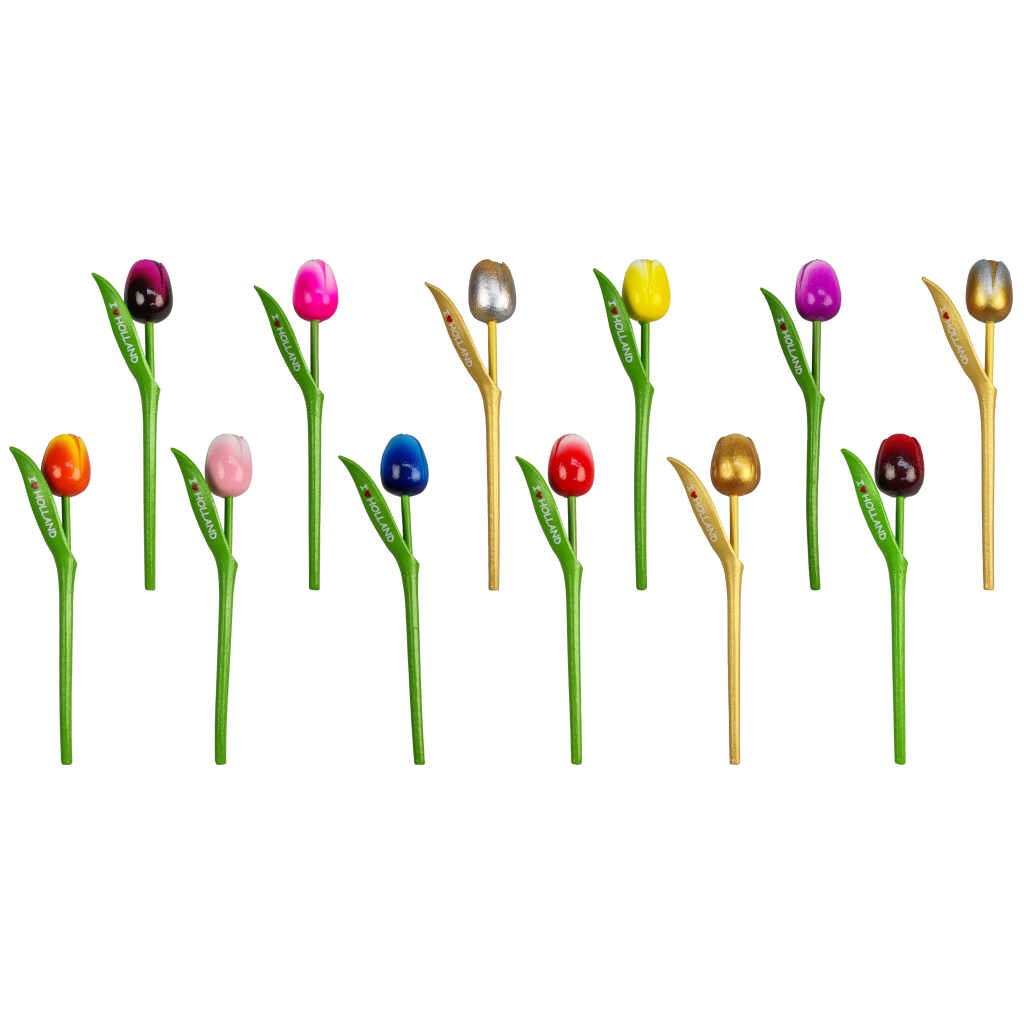 Fleurige Houten Tulpen I ♥ Holland