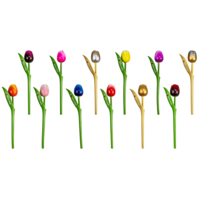 Fleurige Houten Tulpen I ♥ Holland
