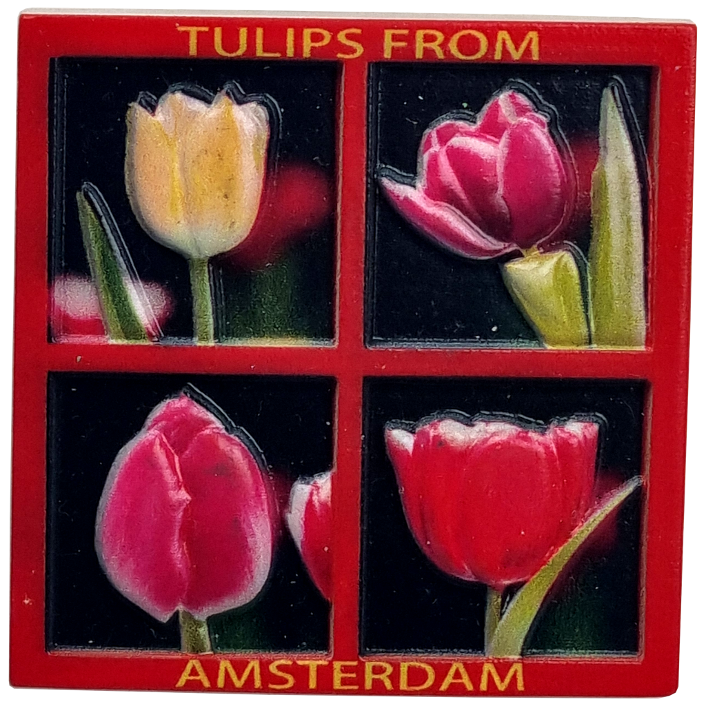 Memo print 4 tulpen A&#39;dam