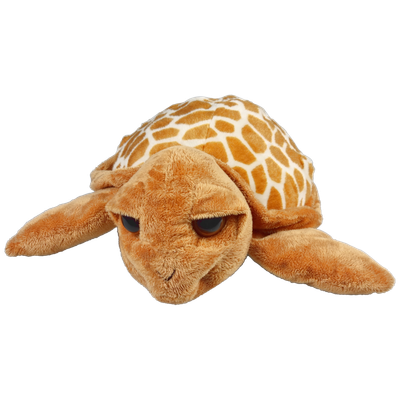 Grote ogen schildpad bruin 30cm