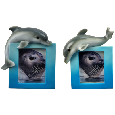 Dieren, fotolijst met dolfijn - magneet