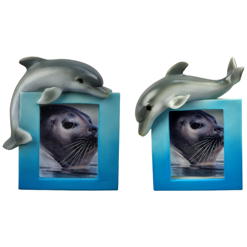 Dieren, fotolijst met dolfijn - magneet