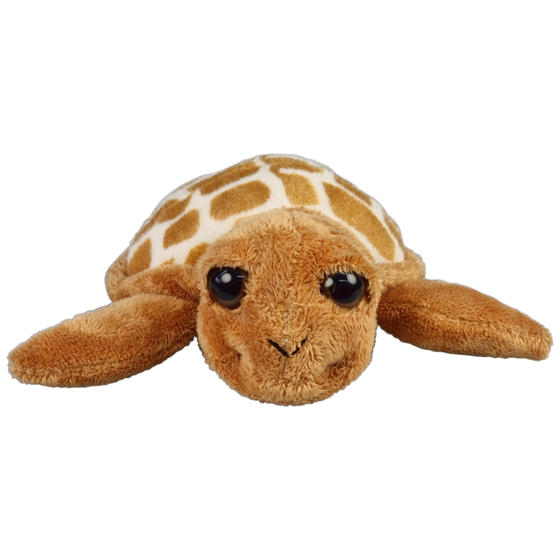 Grote ogen schildpad bruin 15 cm