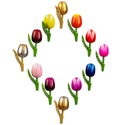 Tulpen I ♥ Holland - magneet