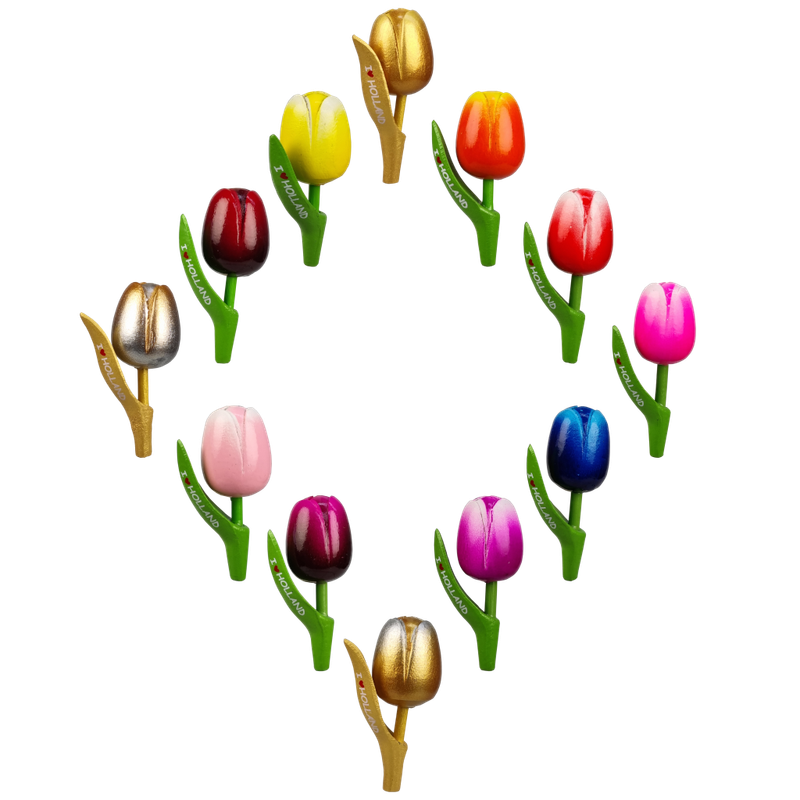 Tulpen I ♥ Holland - magneet