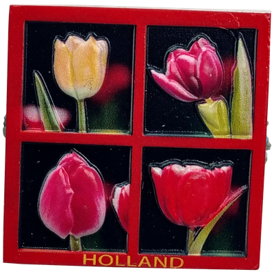 Magneet Tulpen vierluik - print