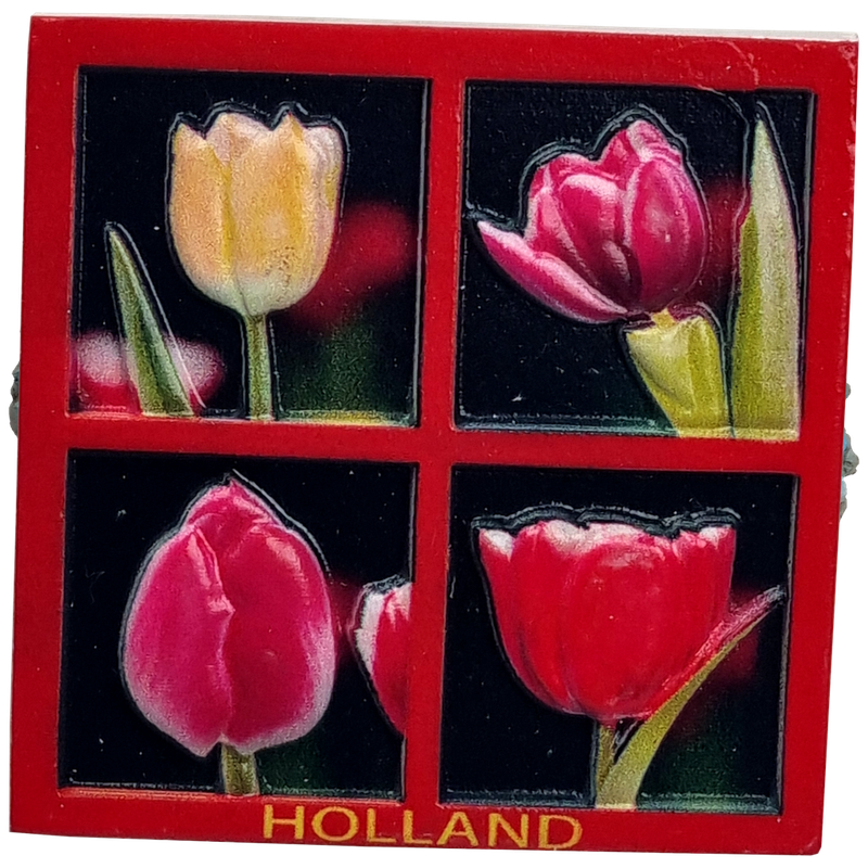 Magneet Tulpen vierluik - print