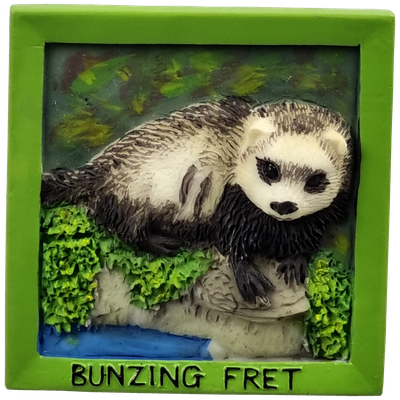 Dieren, Bunzing - magneet