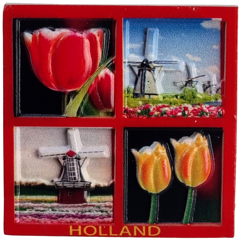 Magneet Tulpen en molen vierluik - print