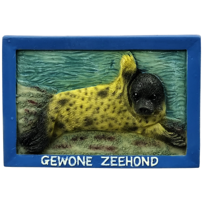 Dieren, Gewone zeehond - magneet