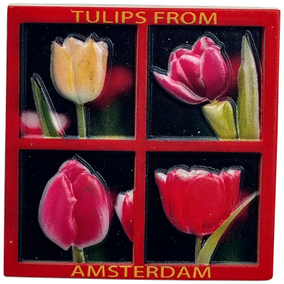 Magneet Amsterdam, tulpen vierluik - print
