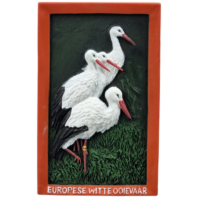 Dieren, Europese Witte Ooievaar - magneet