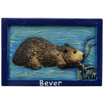 Dieren, Bever - magneet