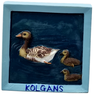 Dieren, Kolgans - magneet