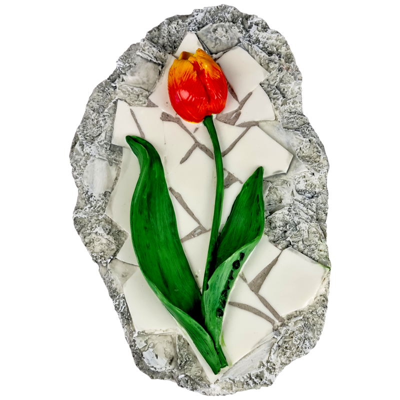 Rots gele tulp