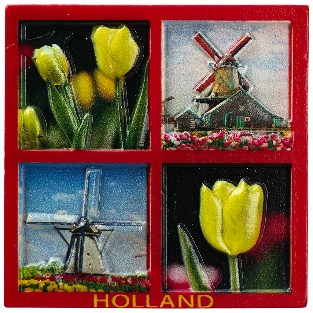 Magneet Tulpen en molen vierluik - print