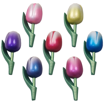 Tulpen Metallic Look - magneet