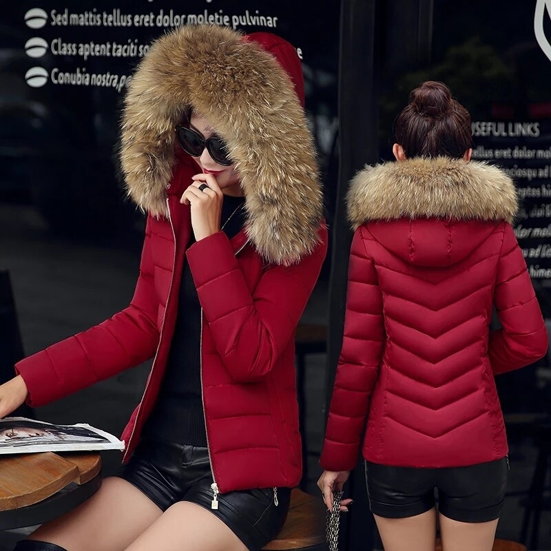 Jacket femmes hiver 2022  جاكيط شتوية للنساء