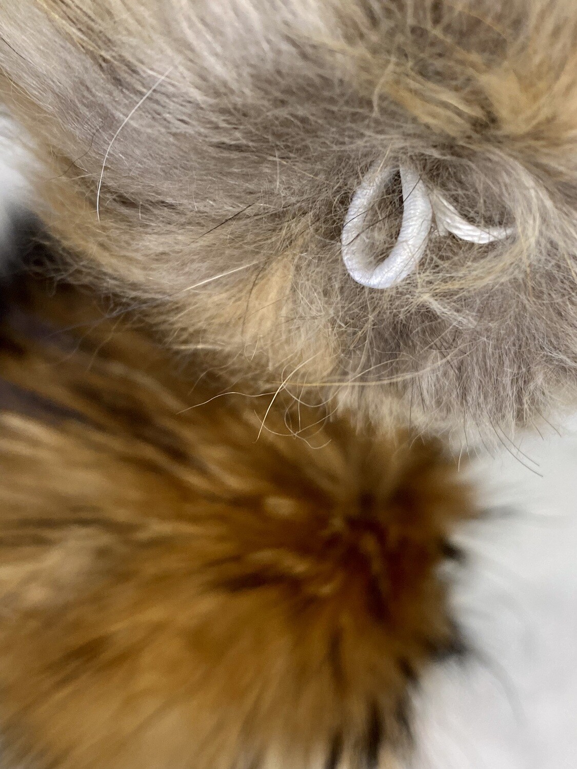 XL Raccoon | Fur PomPom, Fitting: Elastikløkke