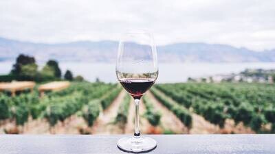 Cellers / Wineries