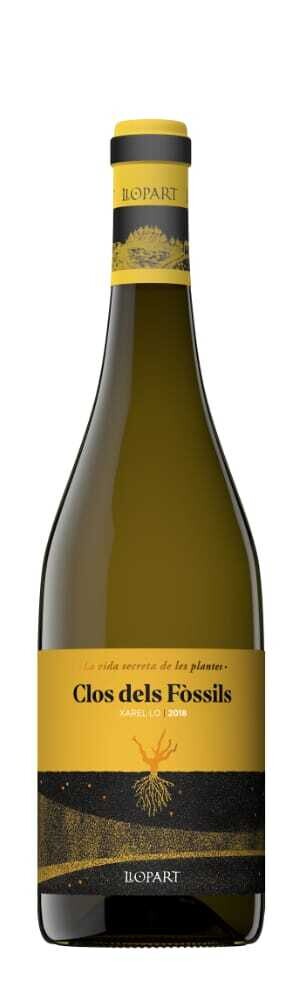 Clos dels Fòssils