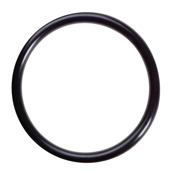 Filter Lid O-ring