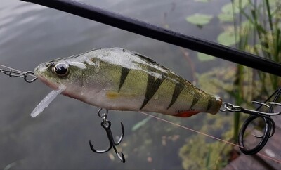 EŠERYS  9.5cm 20g