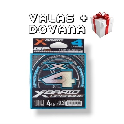 PE VALAS YGK UPGRADE X4, 100M NR.0,2