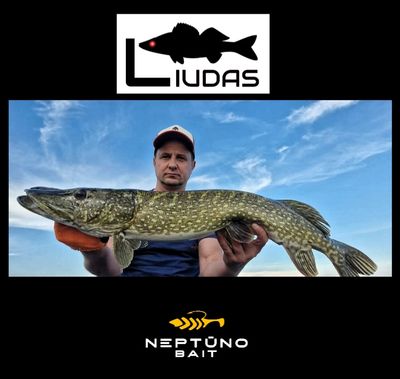 Liudas