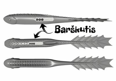 Drakonas  10'' (25cm) 54g