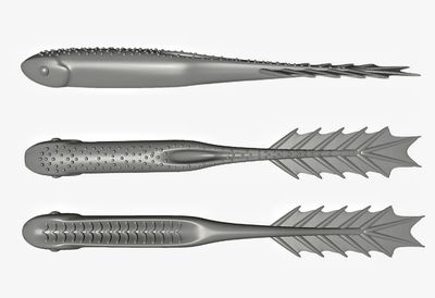 Drakonas  10&#39;&#39; (25cm) 54g