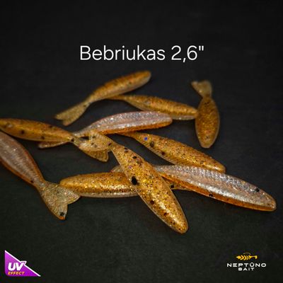 Dzia Dzia (Bebriukas)  2,6&#39;&#39;