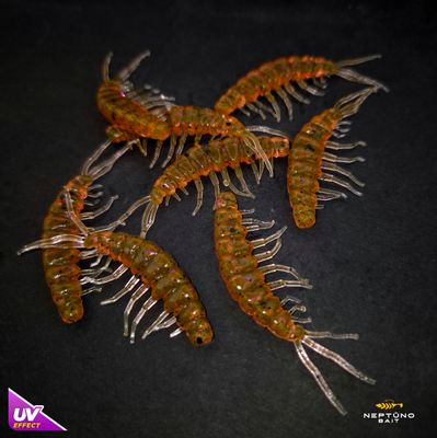 Larva 1.6&quot;  2.3&#39;&#39; 3.1&#39;&#39;