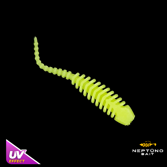 Pupa 1.2''  1.7"