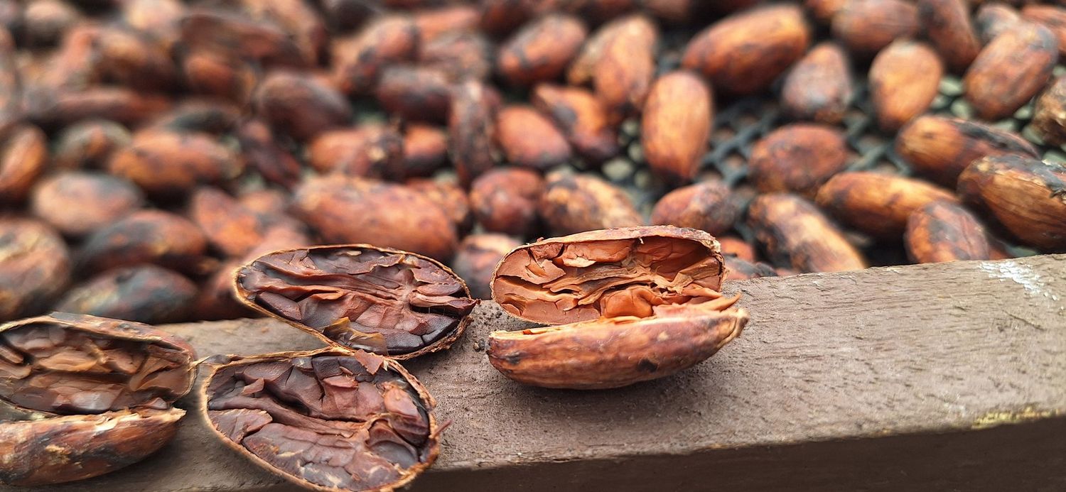 Costa Rica 69% Dark Chocolate - Hacienda Dos Lagunas