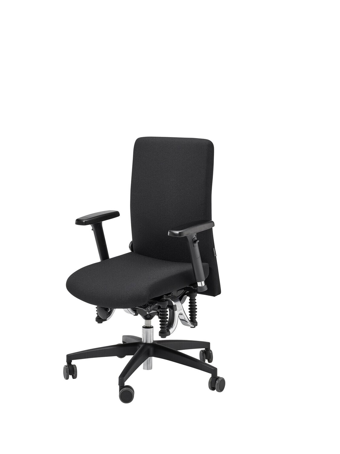 Bioswing 360 iQ, Fabric: Black 9A1 CSE 14, Headrest A: Without