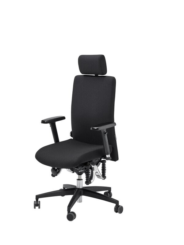 Bioswing 360 iQ Cuir véritable Bioswing 360 iQ Cuir véritable